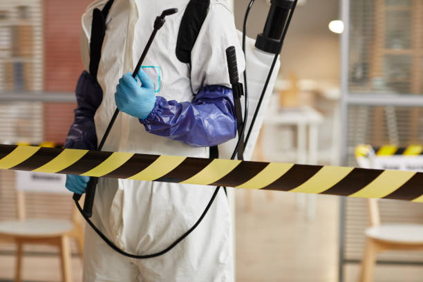 Professional Sewage Cleanup technician working in North Miami Beach, FL